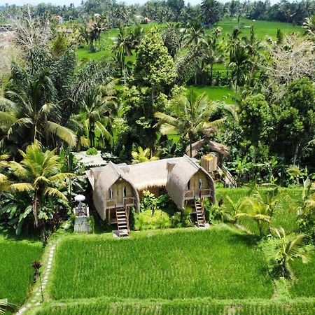 Kawig Bamboo House - Ricefield View, Eco Bamboo Home Tampaksiring ภายนอก รูปภาพ