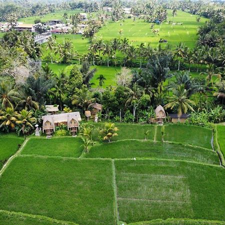 Kawig Bamboo House - Ricefield View, Eco Bamboo Home Tampaksiring ภายนอก รูปภาพ