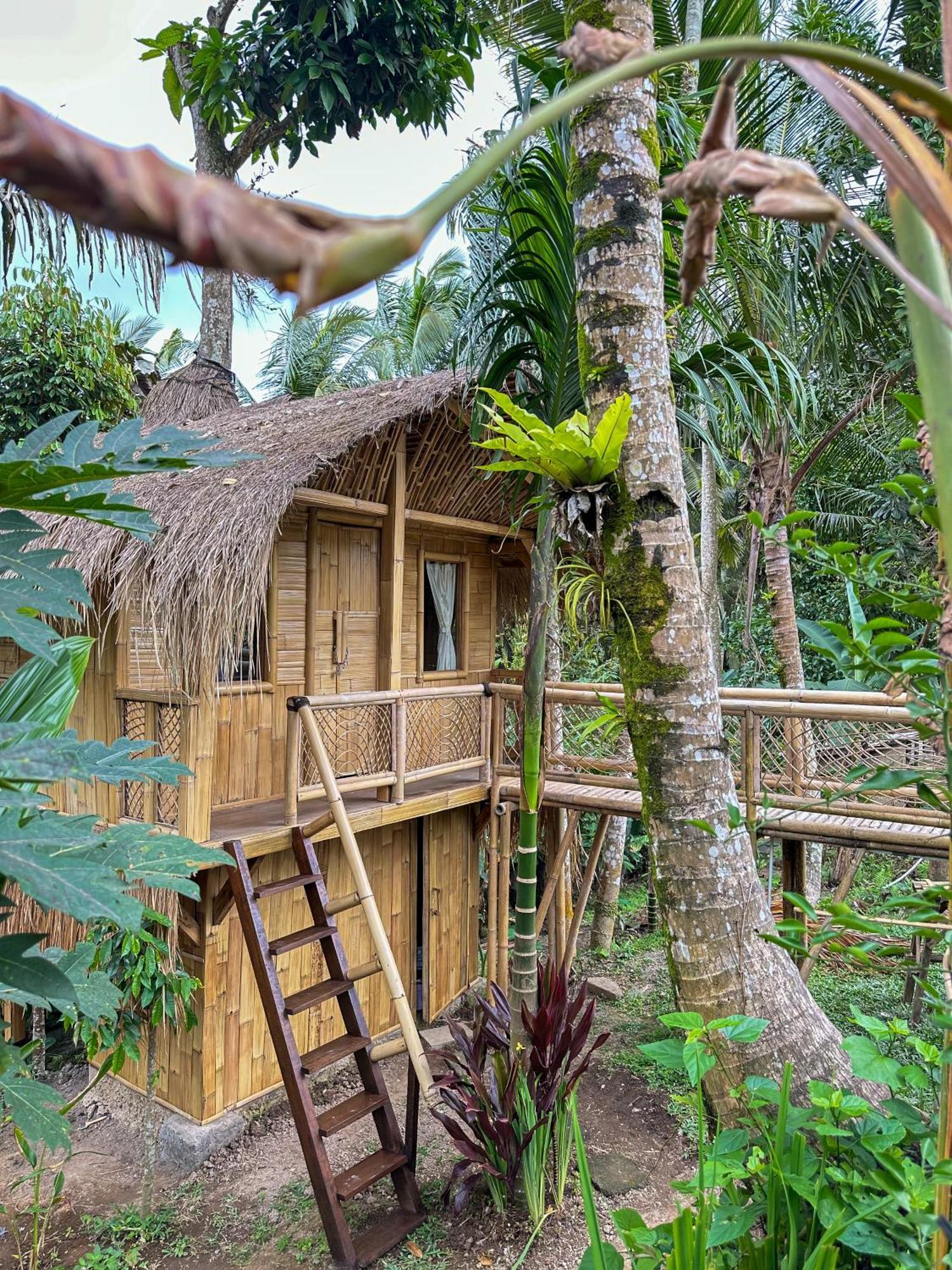 Kawig Bamboo House - Ricefield View, Eco Bamboo Home Tampaksiring ภายนอก รูปภาพ