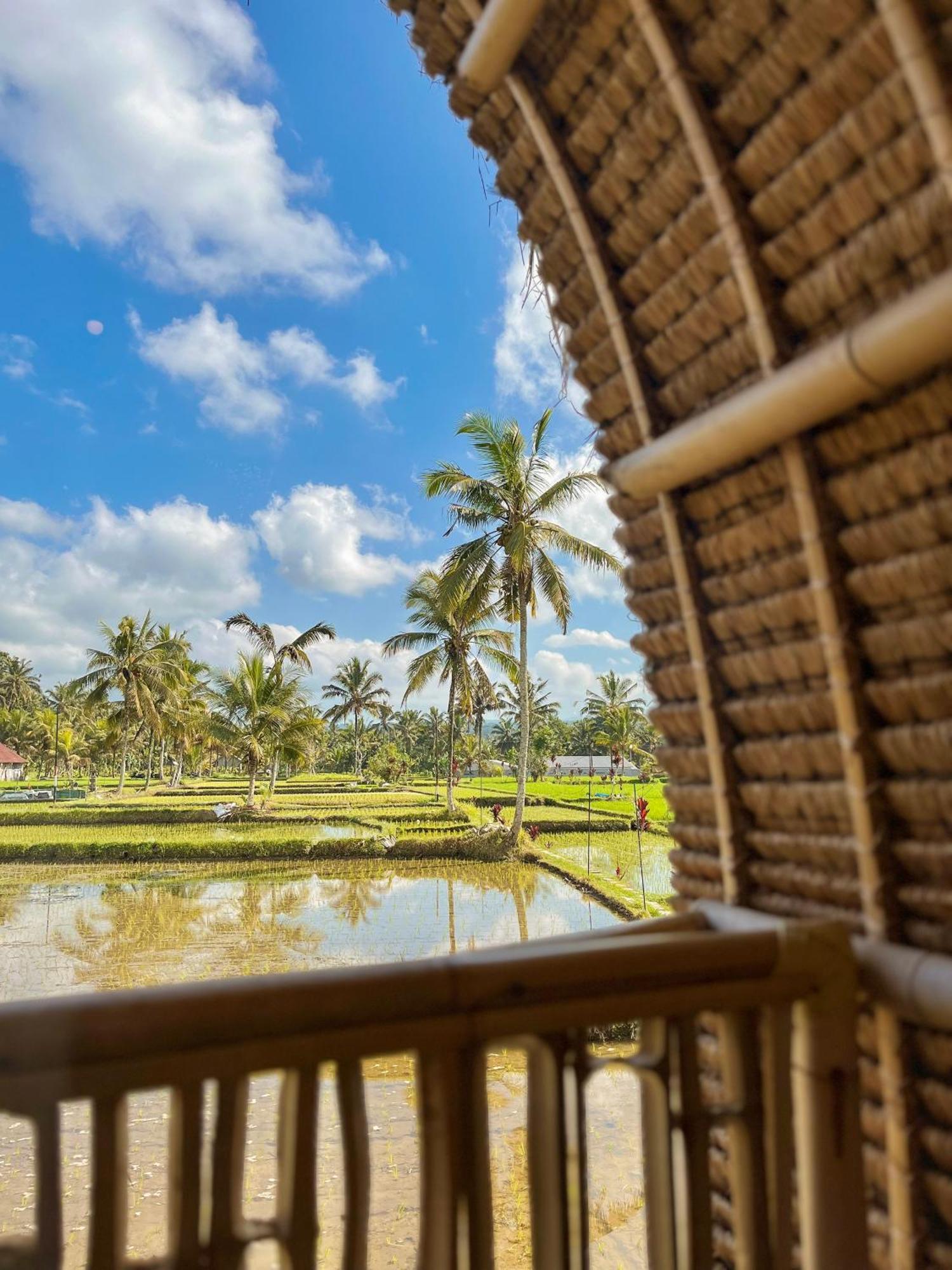 Kawig Bamboo House - Ricefield View, Eco Bamboo Home Tampaksiring ภายนอก รูปภาพ