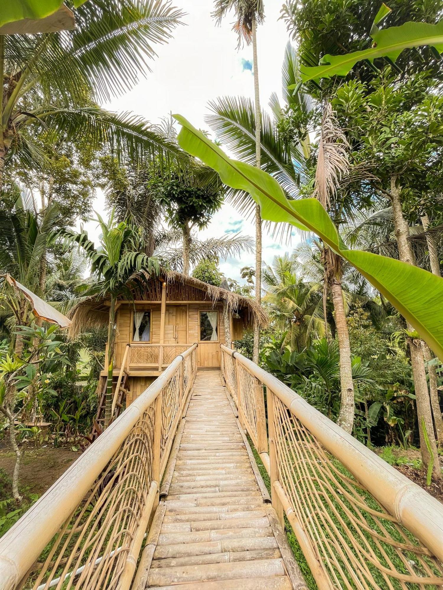 Kawig Bamboo House - Ricefield View, Eco Bamboo Home Tampaksiring ภายนอก รูปภาพ