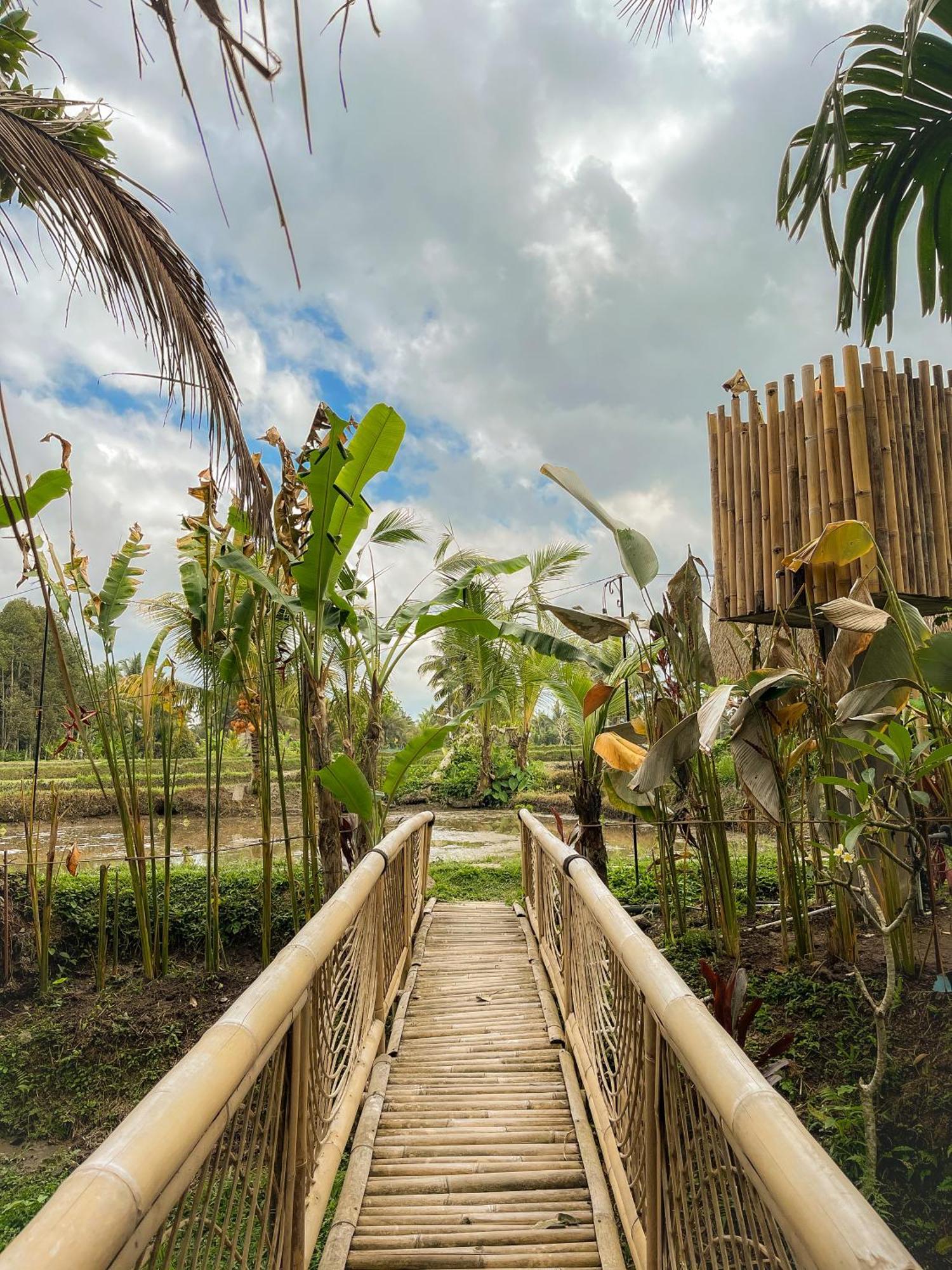 Kawig Bamboo House - Ricefield View, Eco Bamboo Home Tampaksiring ภายนอก รูปภาพ