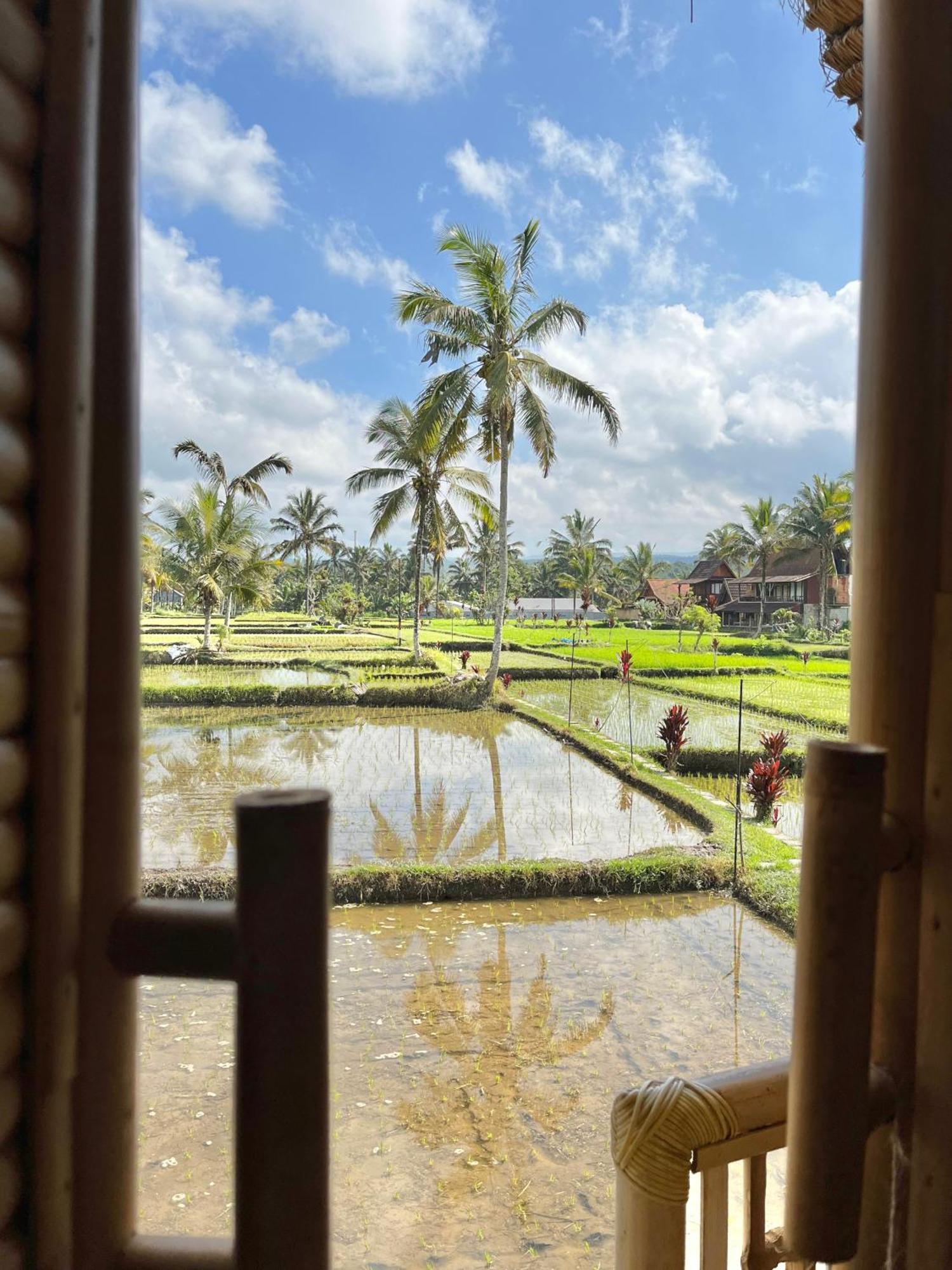 Kawig Bamboo House - Ricefield View, Eco Bamboo Home Tampaksiring ภายนอก รูปภาพ