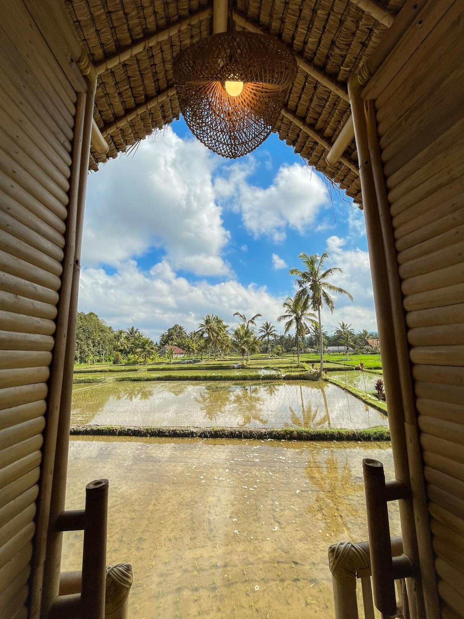 Kawig Bamboo House - Ricefield View, Eco Bamboo Home Tampaksiring ภายนอก รูปภาพ