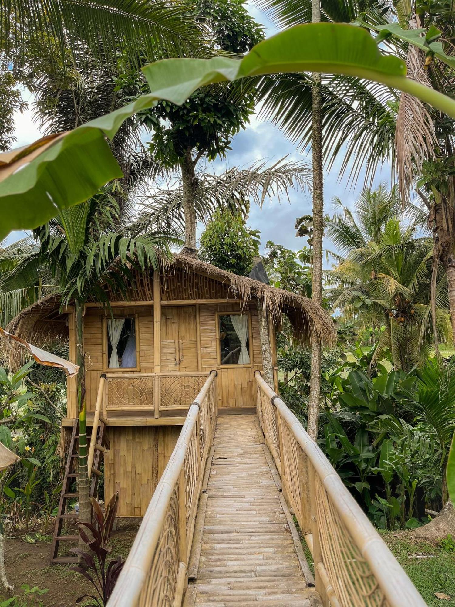 Kawig Bamboo House - Ricefield View, Eco Bamboo Home Tampaksiring ภายนอก รูปภาพ