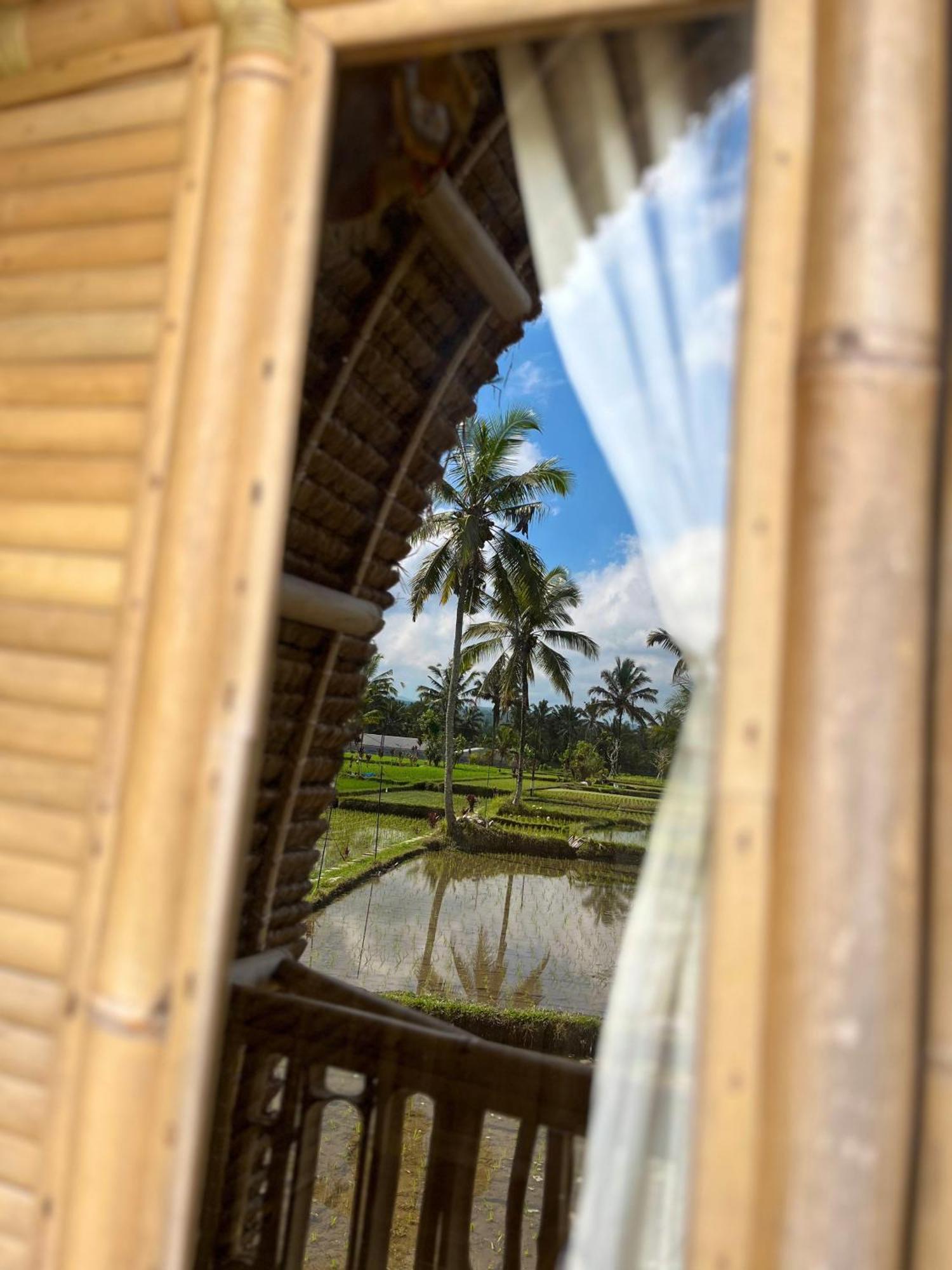 Kawig Bamboo House - Ricefield View, Eco Bamboo Home Tampaksiring ภายนอก รูปภาพ