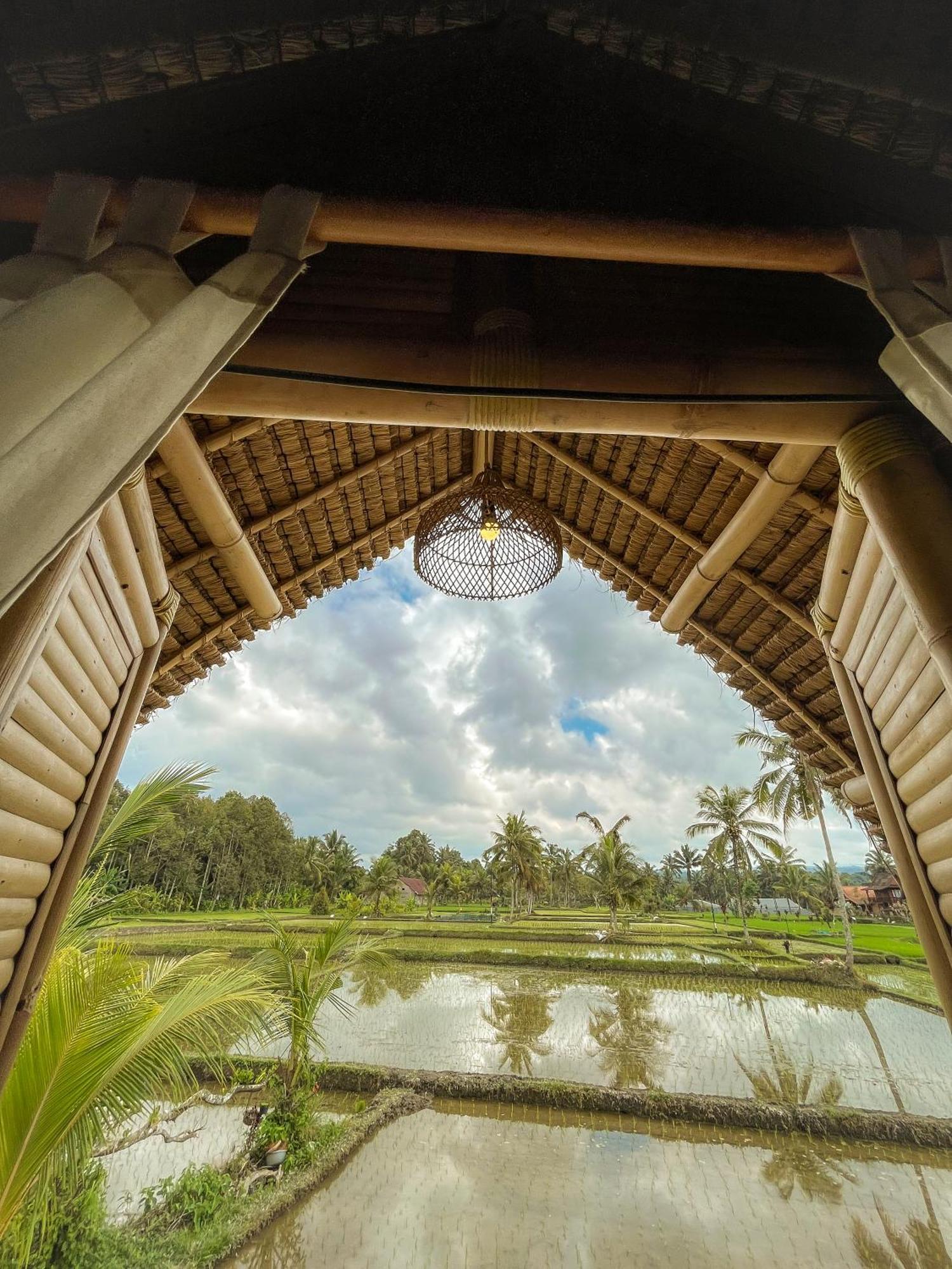 Kawig Bamboo House - Ricefield View, Eco Bamboo Home Tampaksiring ภายนอก รูปภาพ