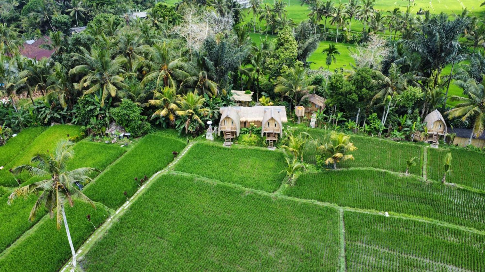 Kawig Bamboo House - Ricefield View, Eco Bamboo Home Tampaksiring ภายนอก รูปภาพ