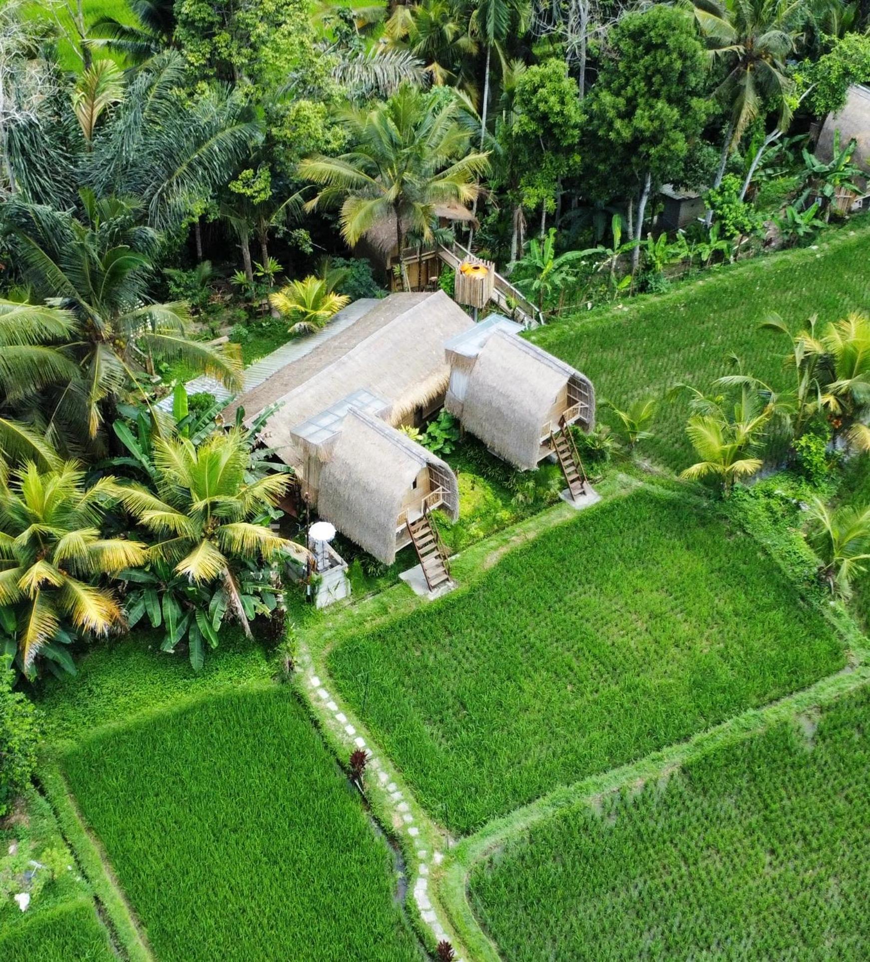 Kawig Bamboo House - Ricefield View, Eco Bamboo Home Tampaksiring ภายนอก รูปภาพ